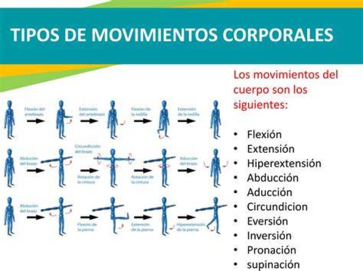 ¿Cuáles son los movimientos de nuestro cuerpo