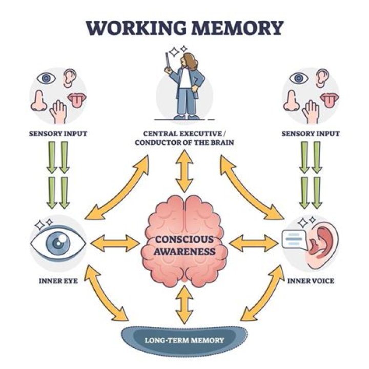 What does it mean that memory is constructive